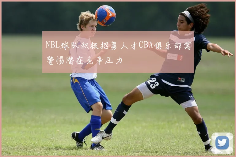 NBL球队积极招募人才CBA俱乐部需警惕潜在竞争压力