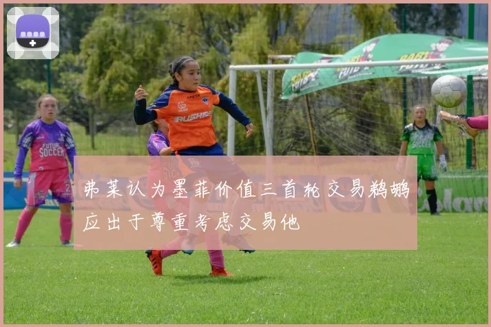 弗莱认为墨菲价值三首轮交易鹈鹕应出于尊重考虑交易他