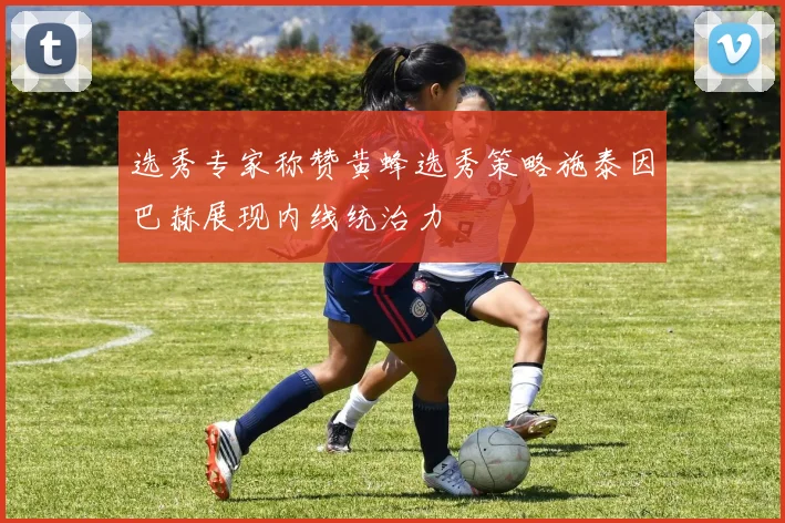 选秀专家称赞黄蜂选秀策略施泰因巴赫展现内线统治力